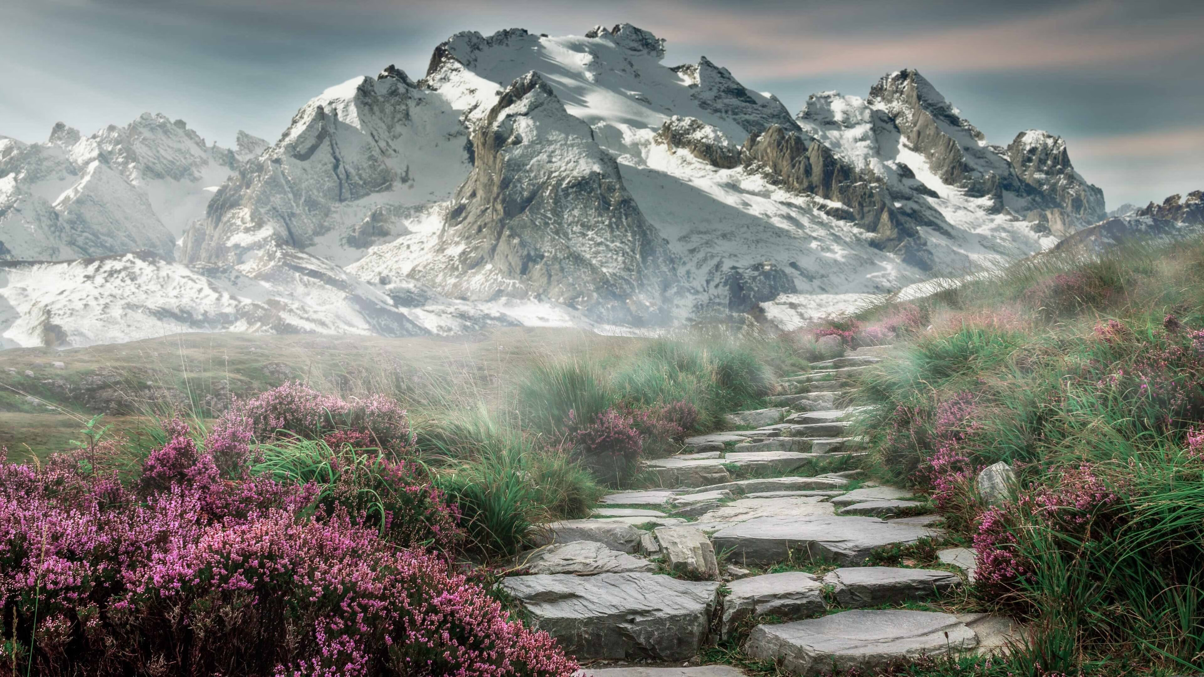 沉默风暴，霍勒迪以无形之力点燃密尔沃基的胜利之夜