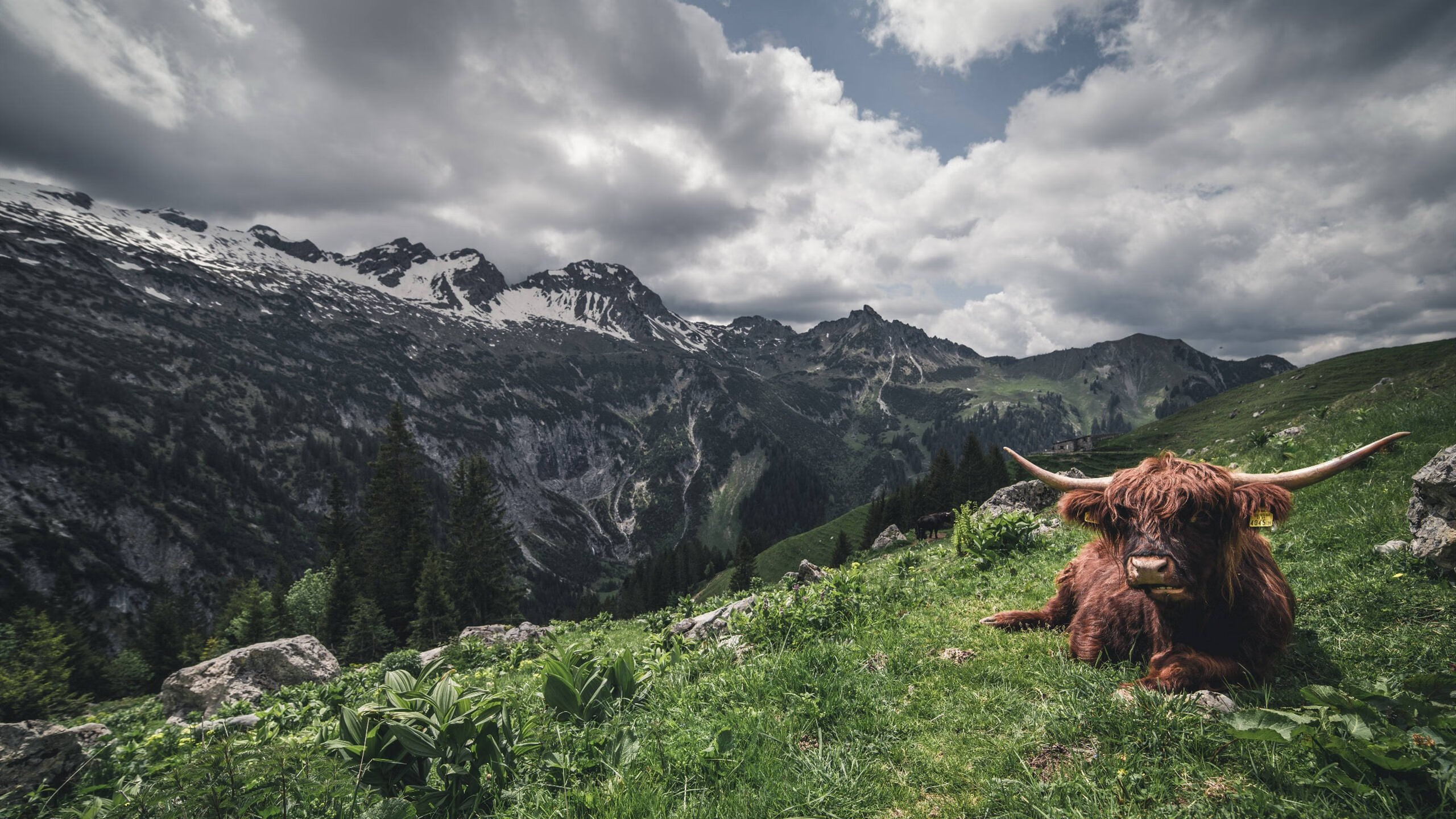 吉诃德与弗拉明戈，塞维利亚用法国队丈量足球的孤独与自由