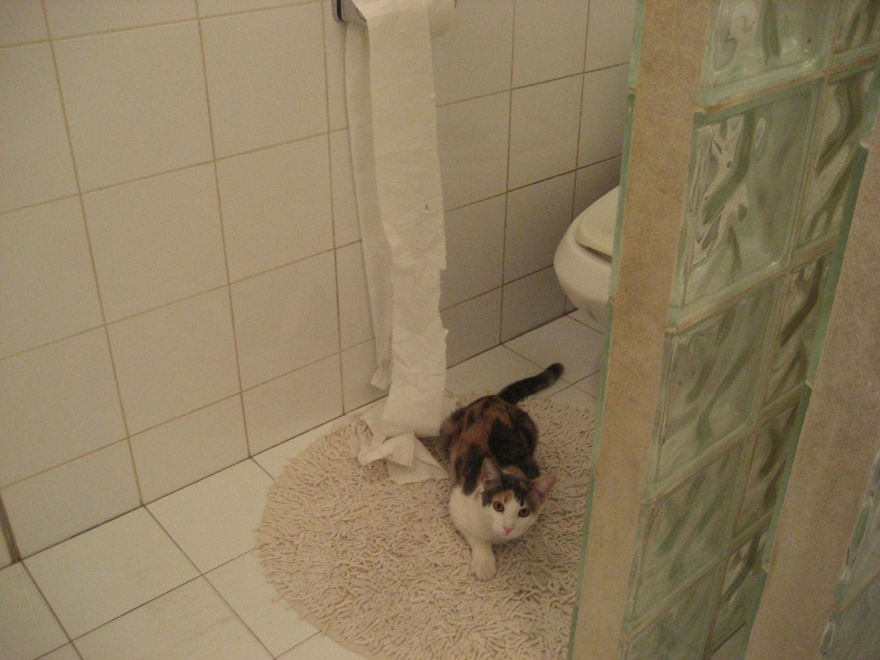 双星对决,山西淬火战辽宁,小贾伦一剑封喉定乾坤