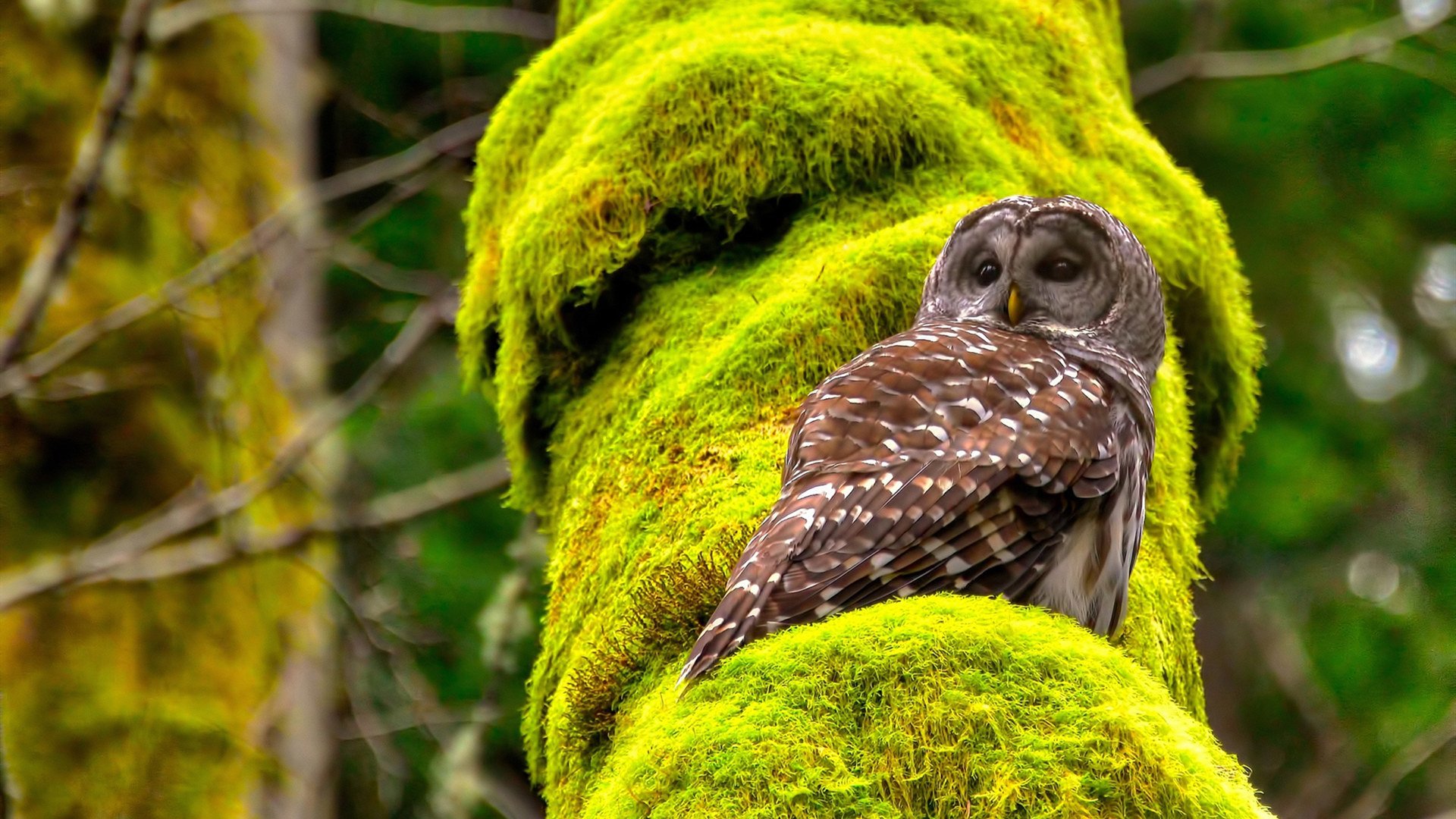 爱游戏娱乐-世界排名争夺战焦点战，毕尔巴鄂竞技轻取日本，排名再掀波澜