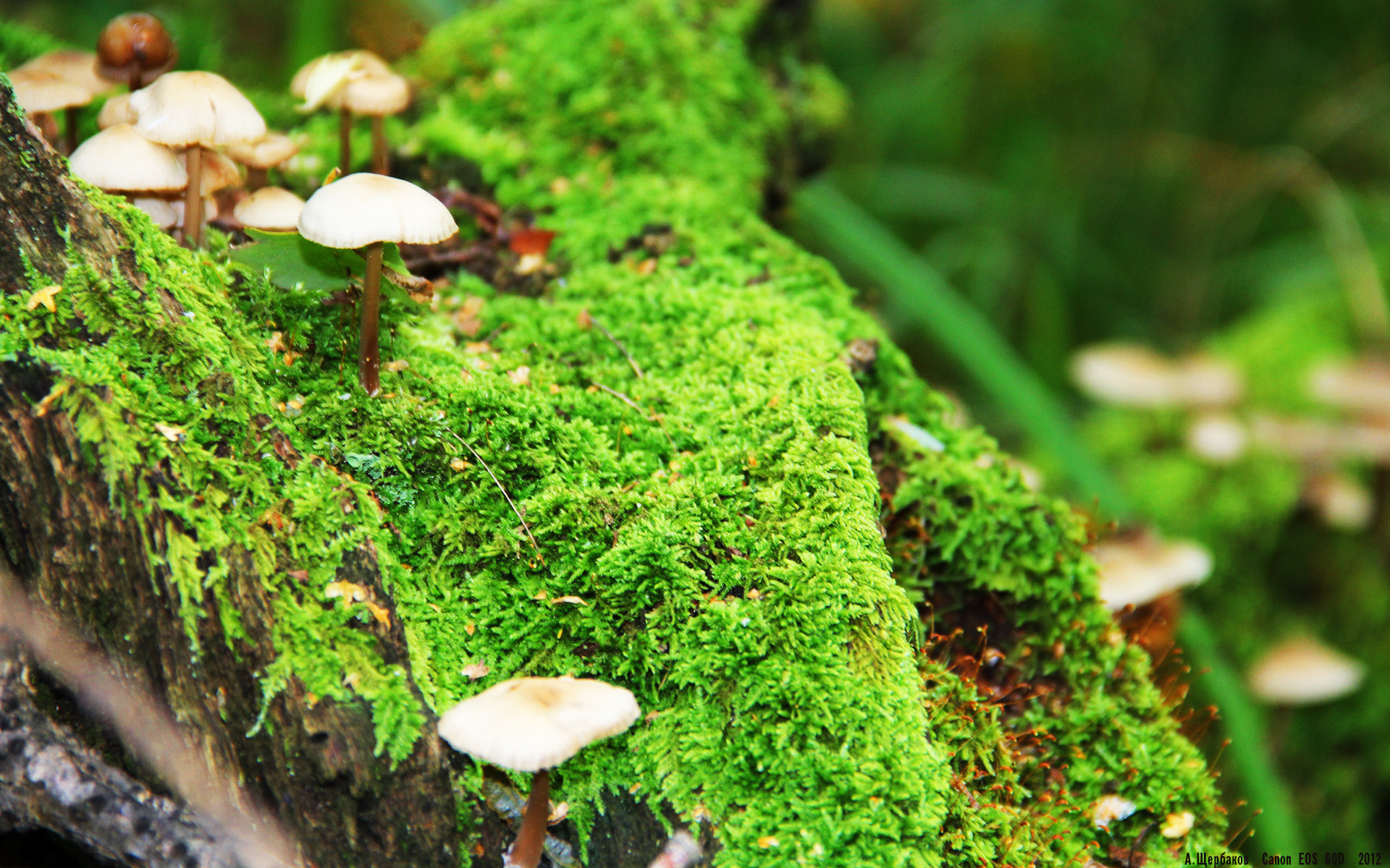 暗涌，从德甲王座易主到NBA的逆转狂潮