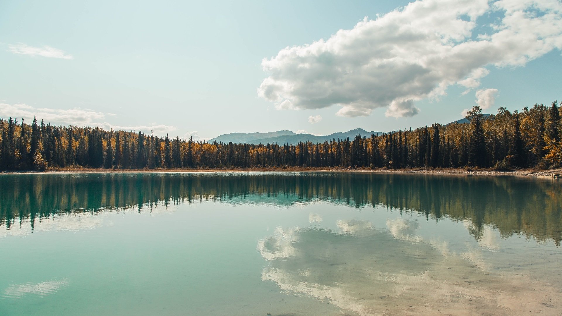 暗夜对决，英格拉姆的统治交响曲