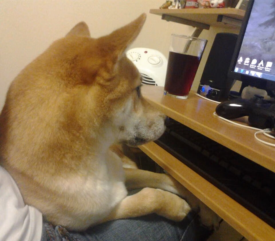 双城记，当罗马球迷制霸雷恩街头，维尼修斯在伯纳乌加冕关键先生