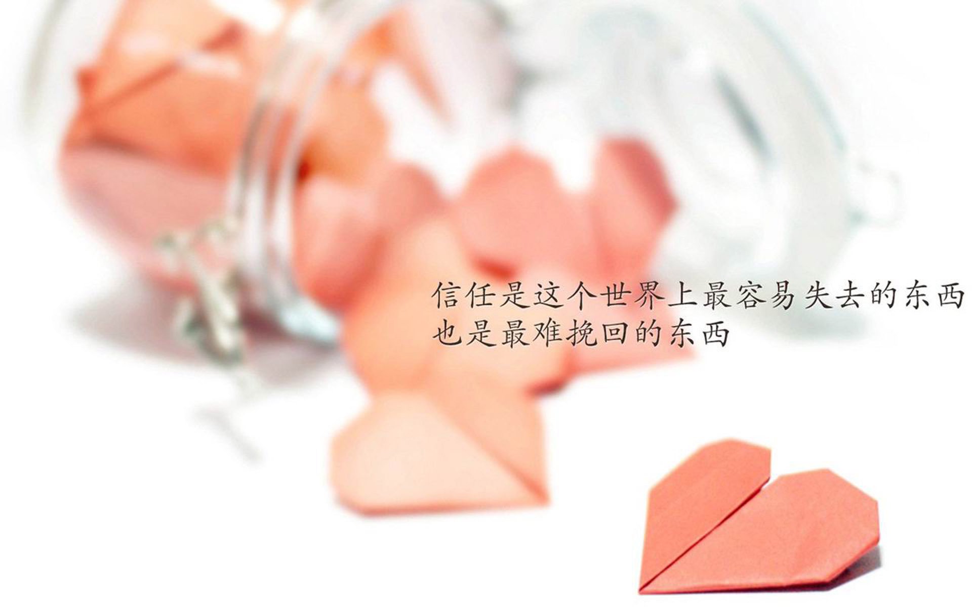 孤星耀世，2026世界杯，英格兰以节奏之名力克加纳，苏亚雷斯演绎大师级掌控
