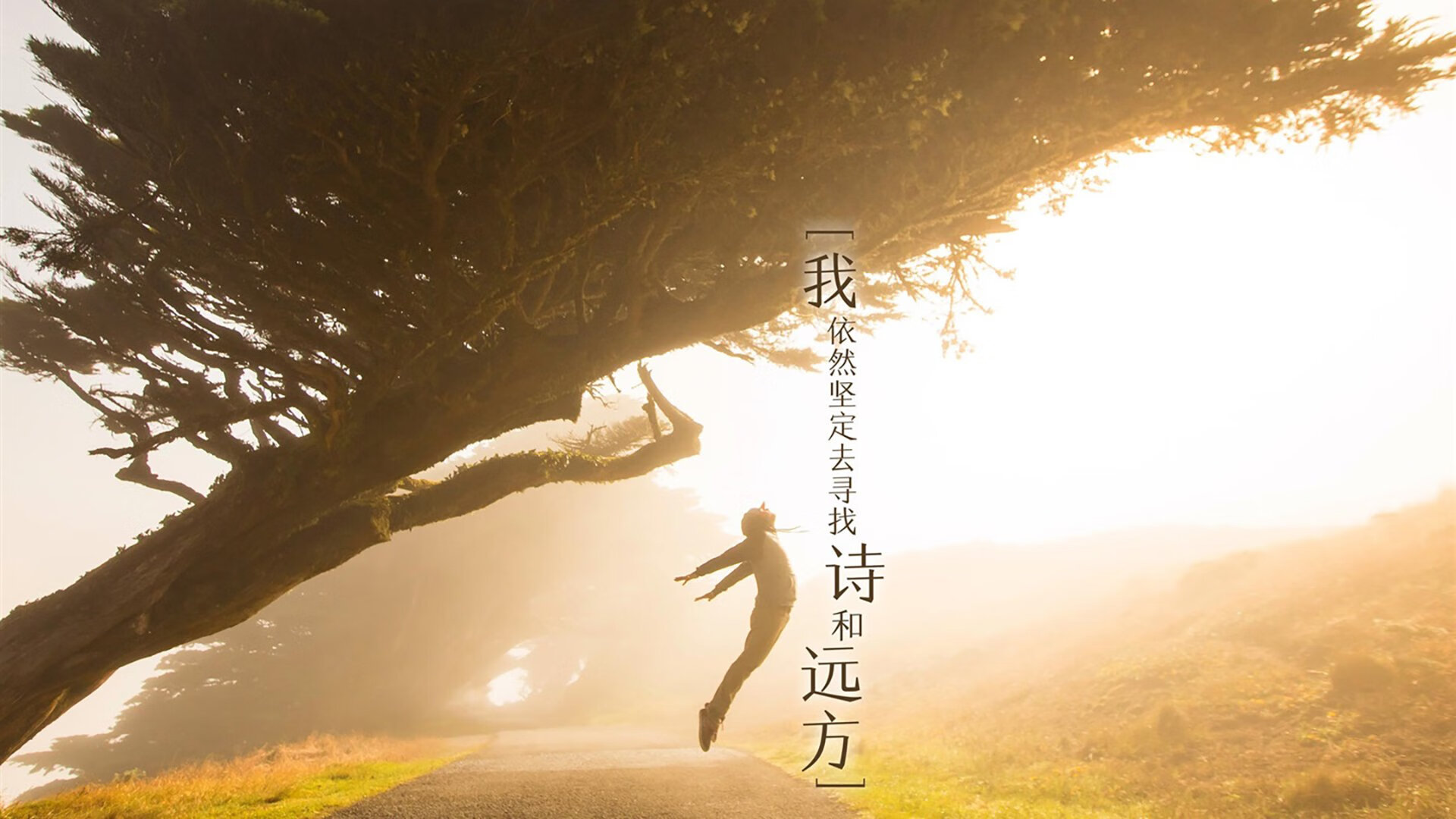2026世界杯C组绝杀之夜，B费主宰中场，喀麦隆最后一刻击碎匈牙利梦想