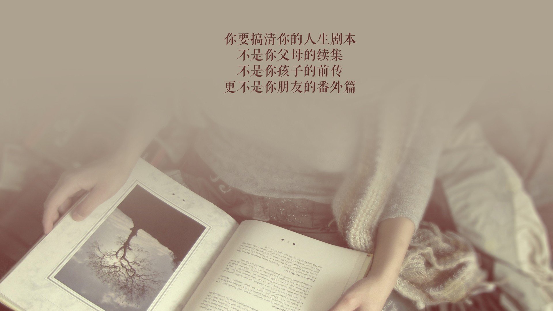 雪山与郁金香的终章，当范戴克的铁幕撞碎冰岛神话