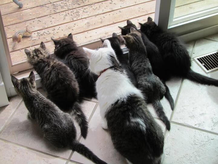 摩洛哥铁骑折戟烈日,姆巴佩灵光一现与门将神迹共铸唯一之战