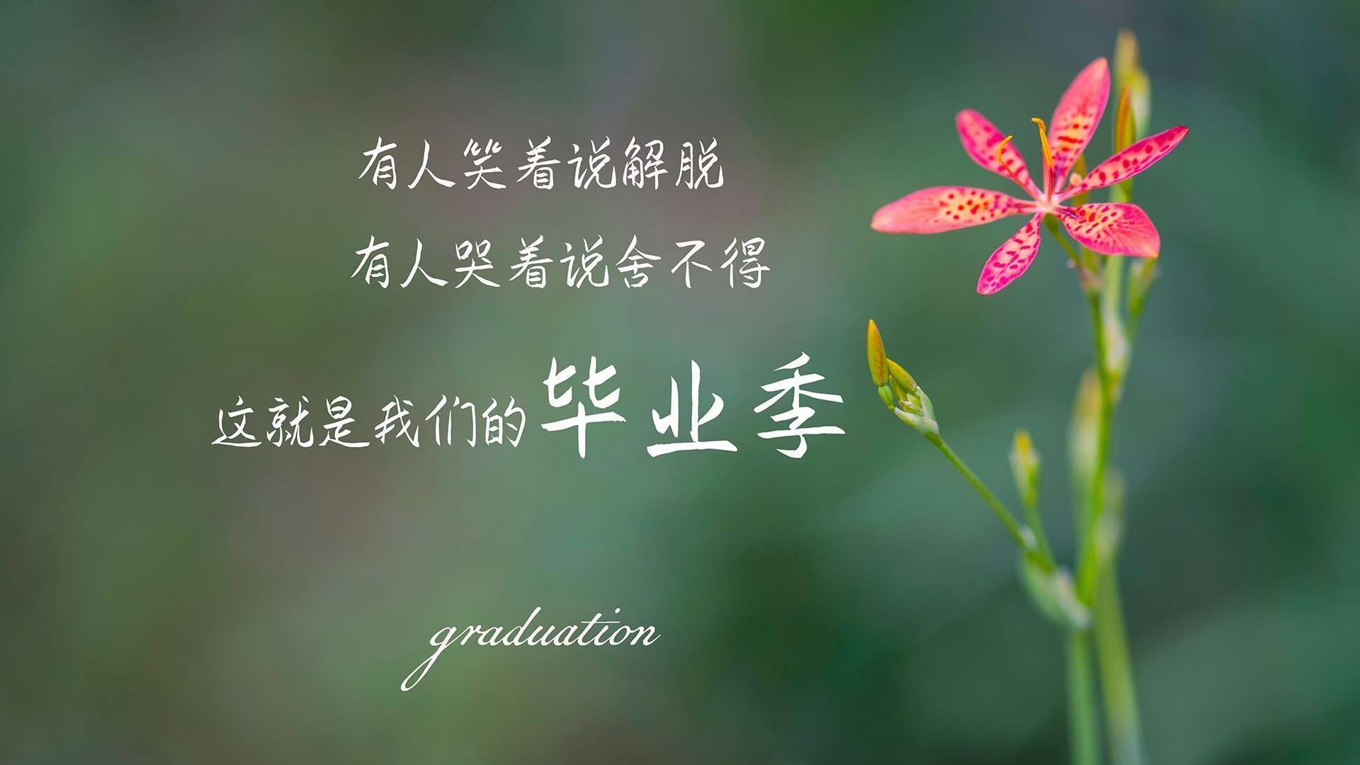 卡萨布兰卡之夜,摩洛哥铁骑踏碎南美荣光,佩德里星耀2026世界杯八分之一战场