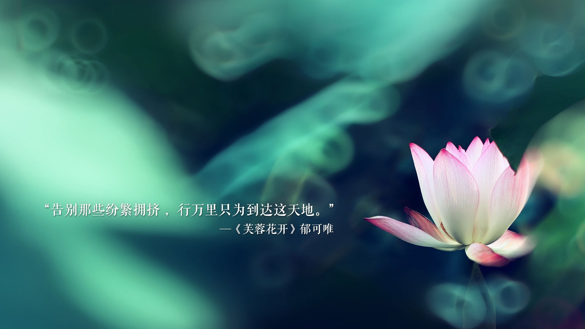 宿命对决,2026世界杯再现历史轮回,厄瓜多尔闪电反击击碎伊拉克,拉什福德独造传奇之夜