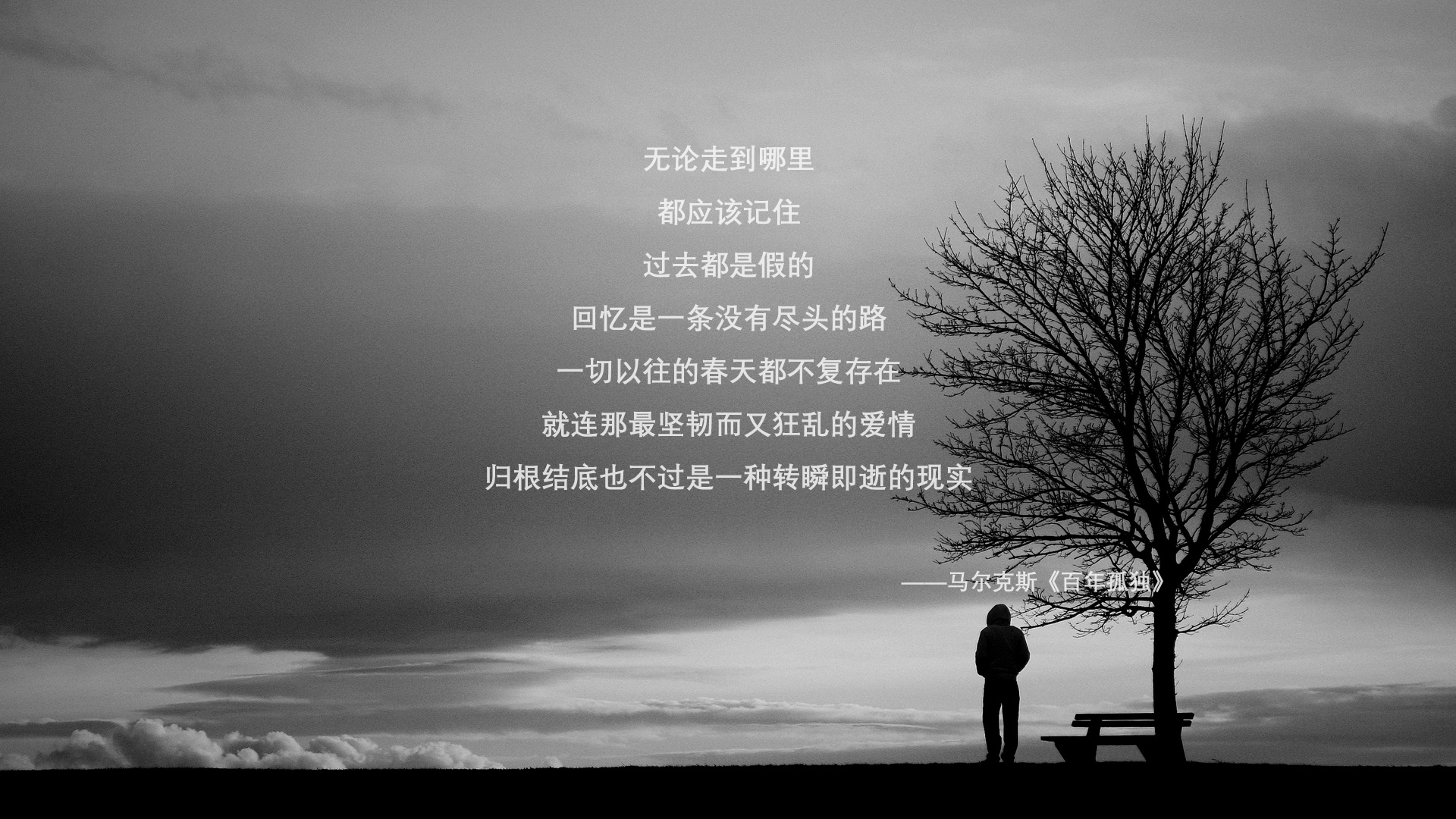 冰与火的临界点，罗德里戈统领极光防线，冰岛在2026世界杯生死战中吞噬北欧宿敌